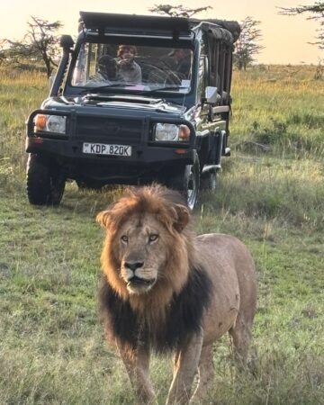 Game Drive 