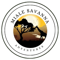 Miale Savanna
